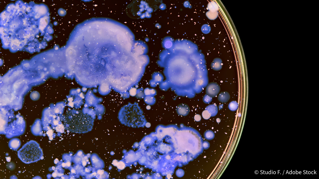Re-purposed drug activates immune system to kill bacteria, without need ...