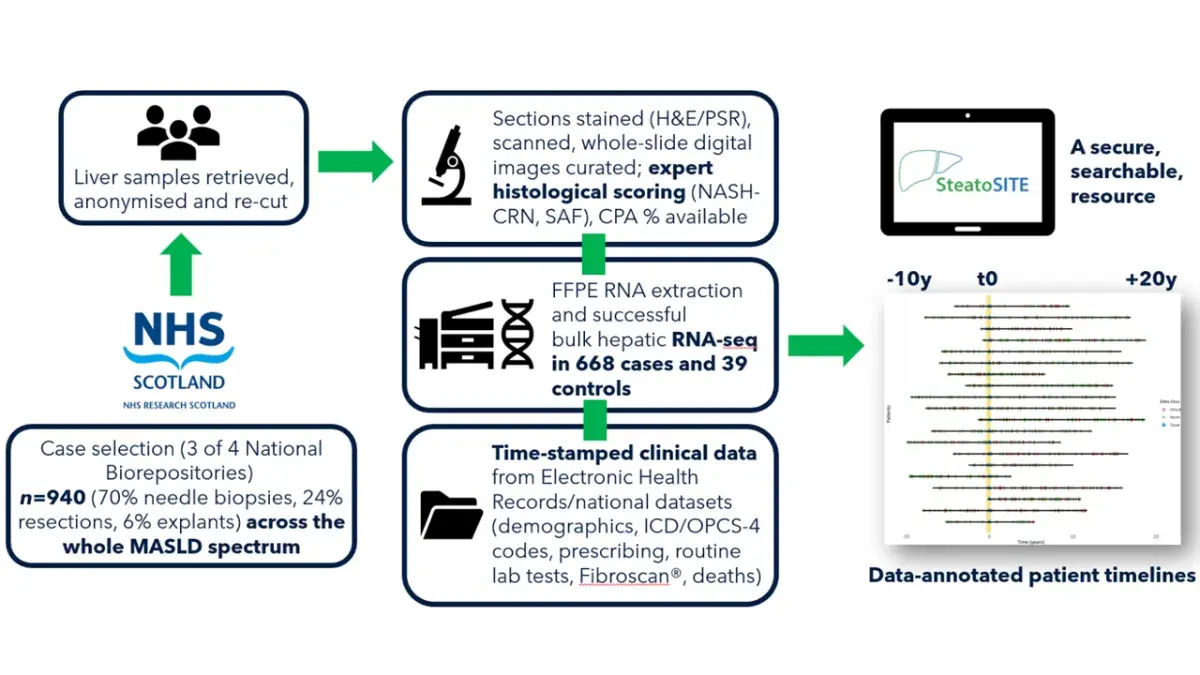 infographic explaining how steatoSITE data collection works