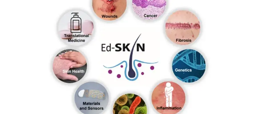 Edskin image