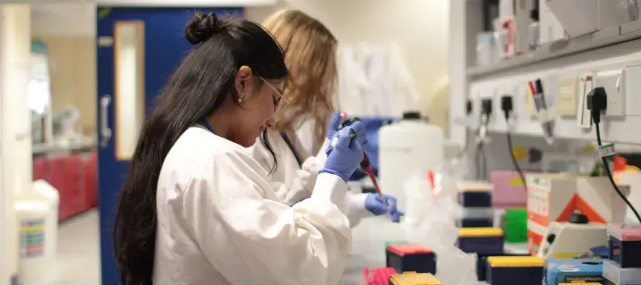 two interns using pippets in the lab