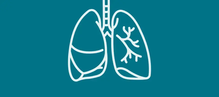 Outline illustration of lungs