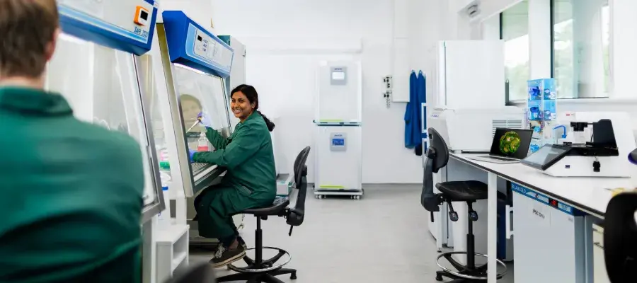 two researchers smiling at eachother while they work at tissue culture hoods in the lab