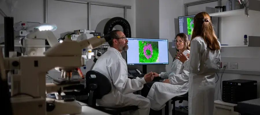 researchers in lab discussing microscopy imaging