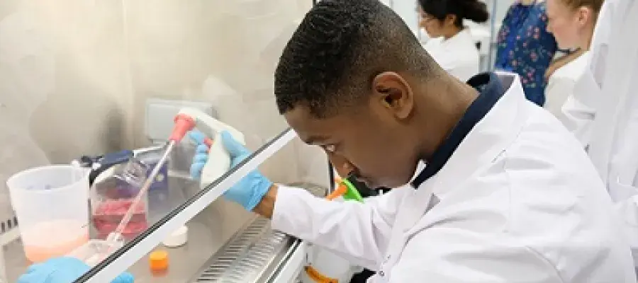 Science Insights lab taster session at the Centre for Inflammation Research