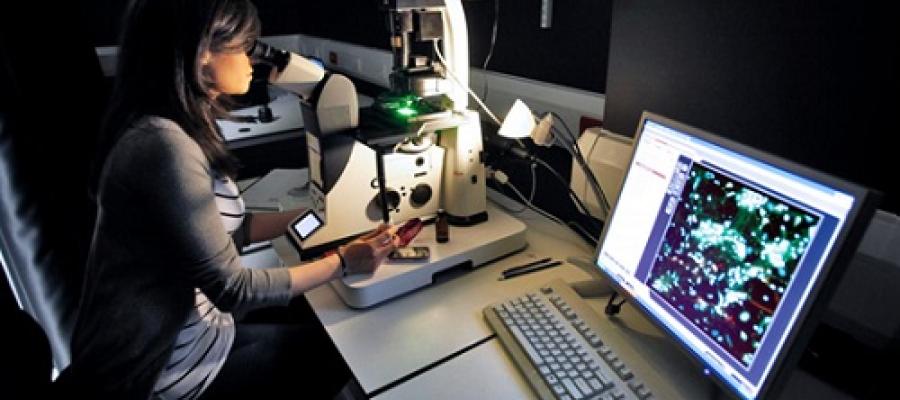 Imaging facility at the Centre for Regenerative Medicine