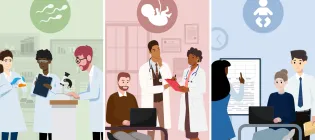 an illustration showing three groups of researchers on three different backgrounds. IN each background there is an icon representing either sperm, pregnancy, or live birth.
