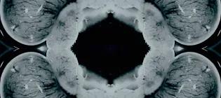 Microscopy black and white image