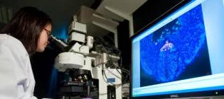 student looking through micrscope with microscopy image on a screen beside her
