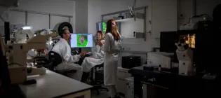 researchers in specialist imaging suite looking at micrscopy on display