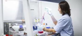 researcher drawing liquid with a pippette underneath a lab hood