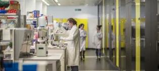 a researcher at lab bench. two scientists in conversation walk down the corridor behind him