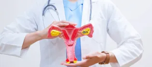 A person in a medical lab coat with a stethoscope around their neck is holding a model of a uterus