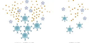 Comparison of immune cells from patients after stroke vs no stroke