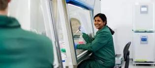Scientist doing cell culture in a lab