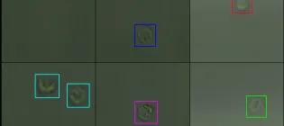 Blood cells with different coloured boxes highlighting them