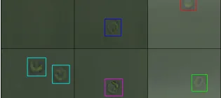 Blood cells with different coloured boxes highlighting them