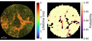 Image from paper attached showing a probability heatmap from a core 