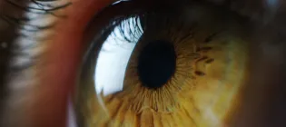 Close up of a human eye which is hazel colour and shows a reflection