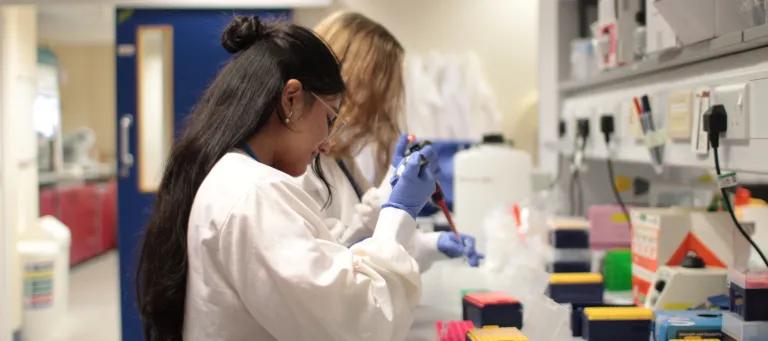 two interns using pippets in the lab