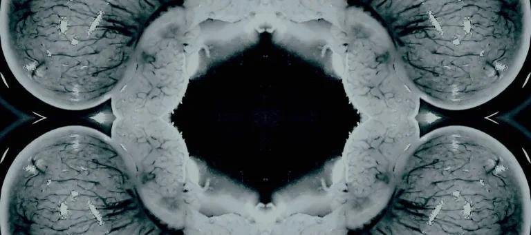 Microscopy black and white image