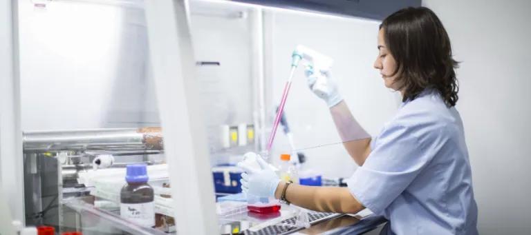 researcher drawing liquid with a pippette underneath a lab hood