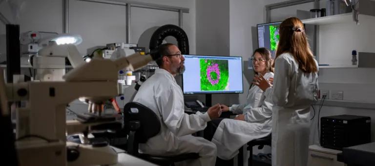 researchers in lab discussing microscopy imaging