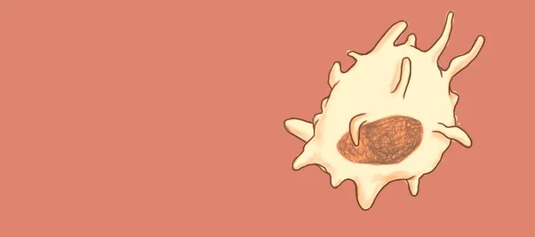 White/yellow cell blob with protrusions showing a macrophage on a salmon pink background