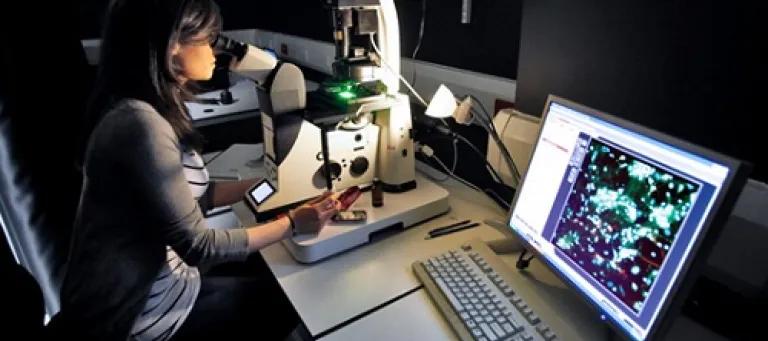 Imaging facility at the Centre for Regenerative Medicine