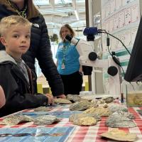 Primary age boy looking at camera infront of a table with a microscope and numerous oysters