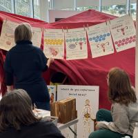 Three women of mixed ages reading informative posters on the uterus in front of a large red tent.