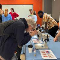 Man observing in microscope