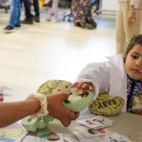 Small child in a little lab coat reaching for fake plastic brain 