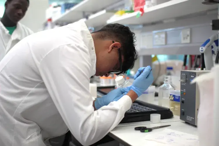 an intern using a pipette in the lab