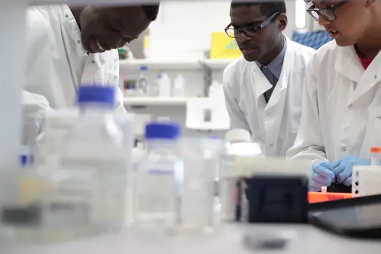 three interns observing bench work in the lab