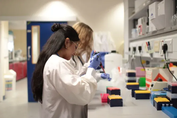 two interns using pippets in the lab