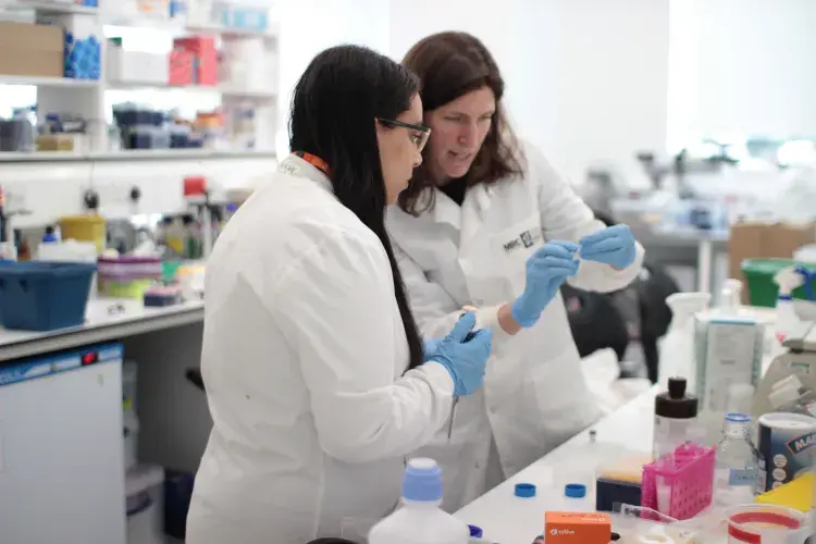 intern in discussion with supervisor in lab