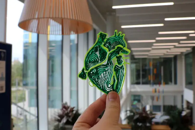 Someone holding up a green hand-made heart
