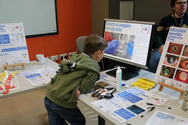 Child watching a video where researchers explain how they prepare pig eyes