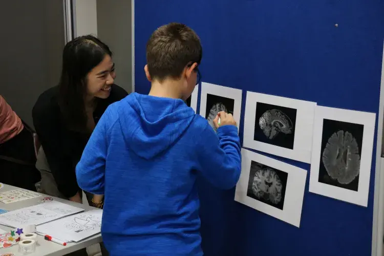 Child drawing on laminated PET scan of the brain