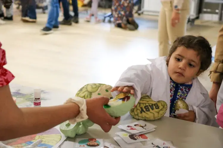 Small child in a little lab coat reaching for fake plastic brain 