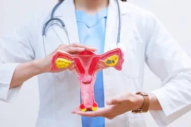 A person in a medical lab coat with a stethoscope around their neck is holding a model of a uterus