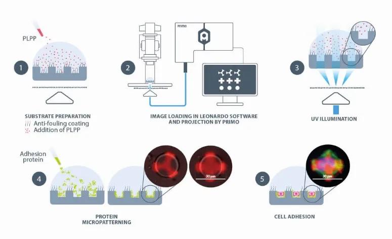 PRIMO microfabrication of substrate