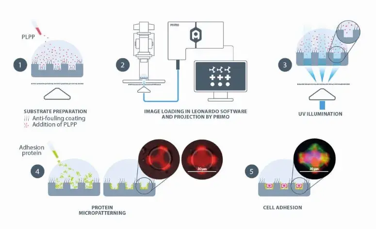PRIMO microfabrication of substrate