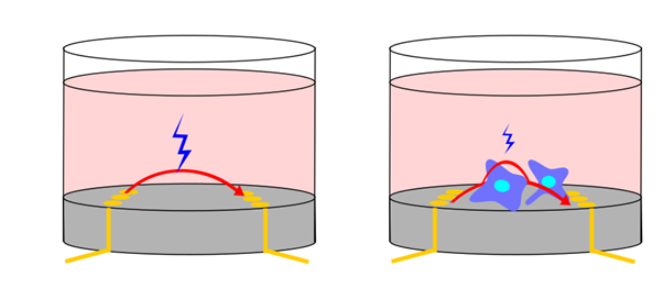 A graphic representing process in the tissue culture incubator