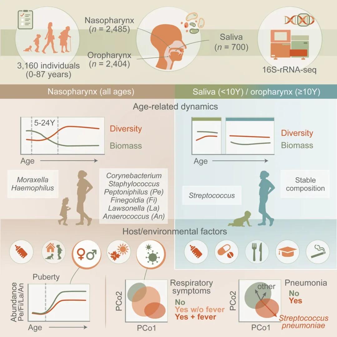 nose mouth study data infographic