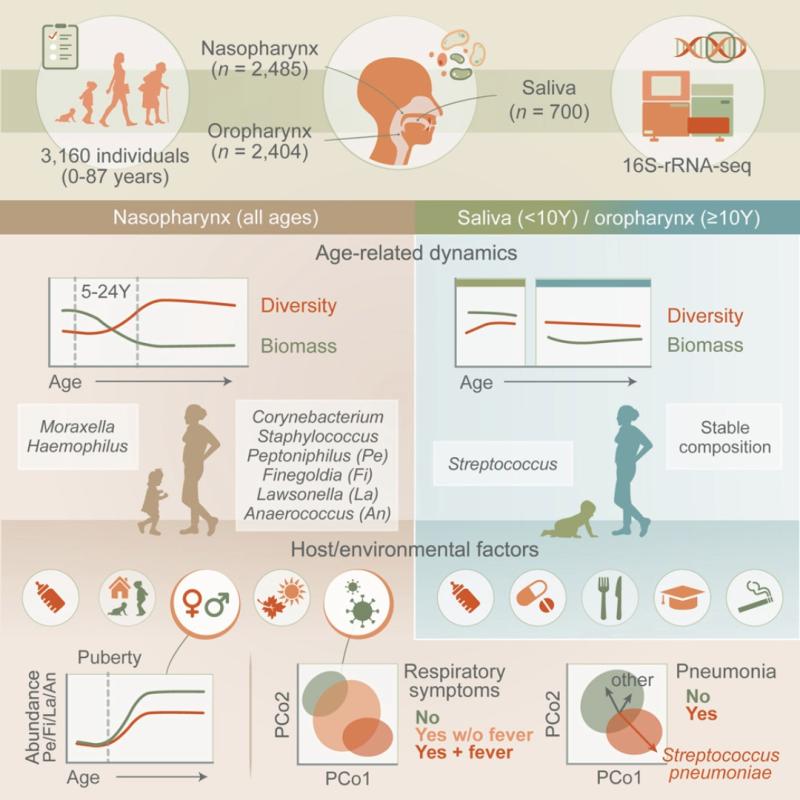 nose mouth study data infographic