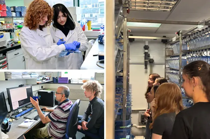 Collage of photos from Science Insights