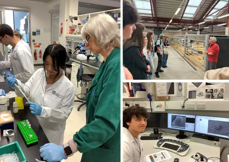 Collage of photos from Science Insights 2