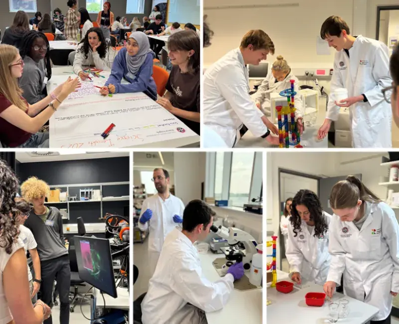 Collage of photos from Science Insights 3