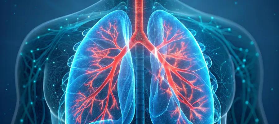 AI generated lungs in a body